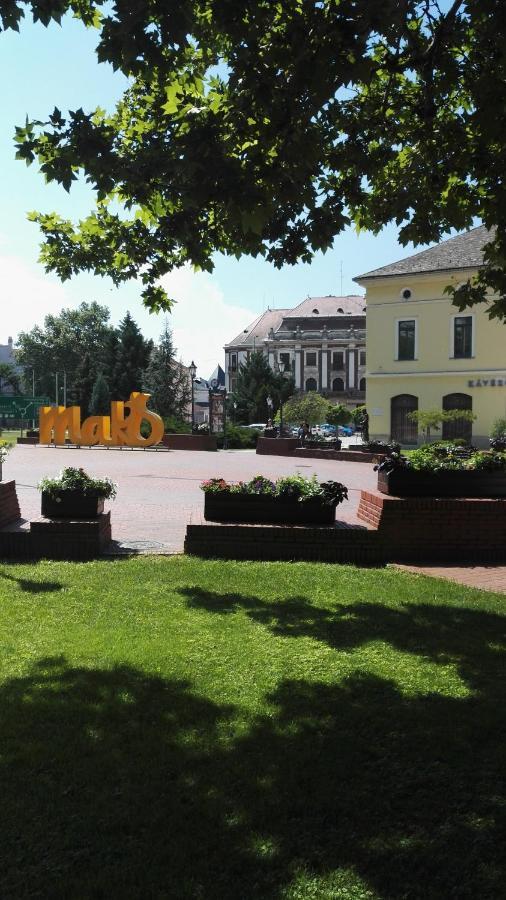 Blue Apartman Apartment Makó Екстериор снимка
